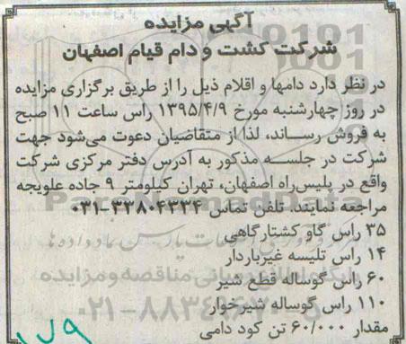 آگهی مزایده,مزایده35 راس گاو کشتارگاهی 