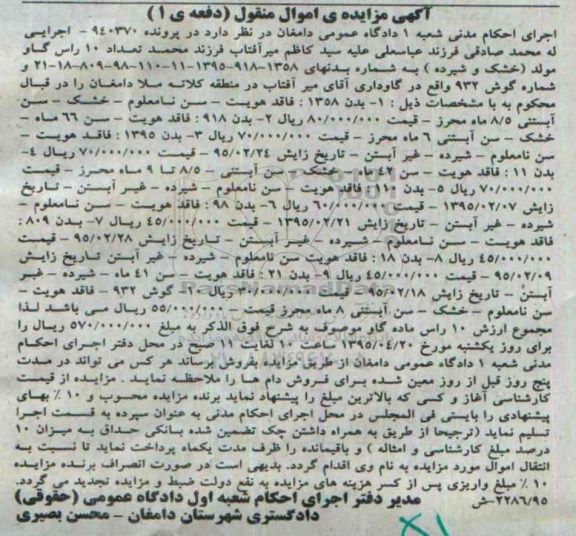 مزایده,مزایده تعداد 10 راس گاو مولد (خشک و شیرده)
