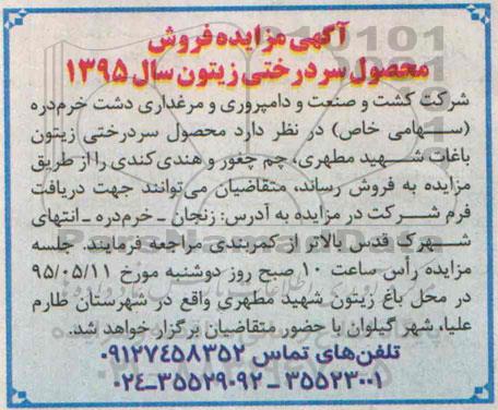 آگهی مزایده, مزایده فروش محصول سردرختی زیتون باغات