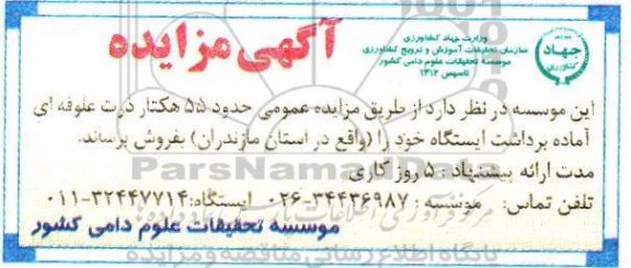آگهی مزایده, مزایده فروش حدود 55 هکتار ذرت علوفه ای