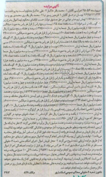 مزایده,مزایده گوساله  