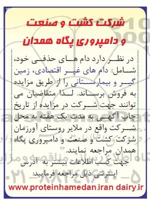 اگهی مزایده,مزایده فروش دام های حذفی  