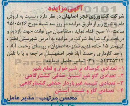 آگهی مزایده , مزایده تعدادی گوساله نر شیرخوار و قطع شیر ....
