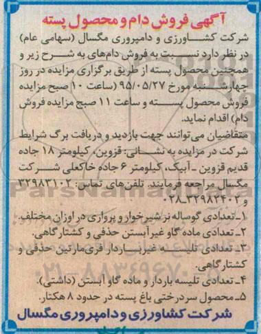 آگهی مزایده ,مزایده فروش تعدادی گوساله نر شیرخوار و پرواری در اوزان مختلف....