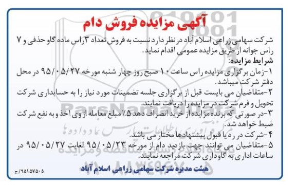 فروش تعداد ۳ راس ماده گاو حذفی و ۷ راس جوانه