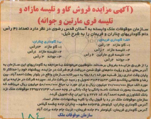 مزایده , مزایده تعداد 45 راس دام گاوداری های
