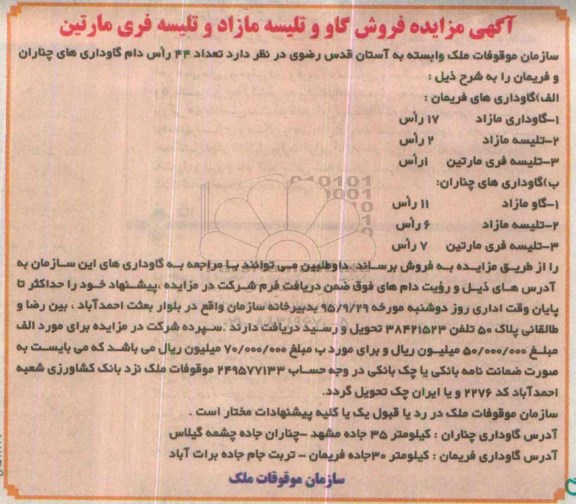 آگهی مزایده ,آگهی مزایده فروش گاو و تلیسه...