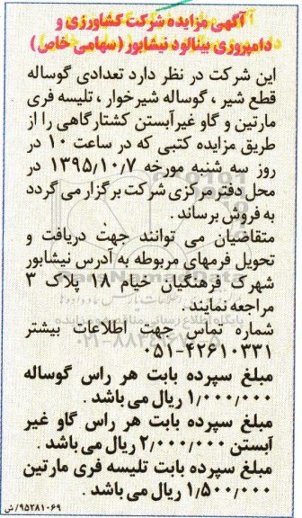 آگهی مزایده, مزایده فروش تعدادی گوساله قطع شیر ، گوساله شیرخوار و ...
