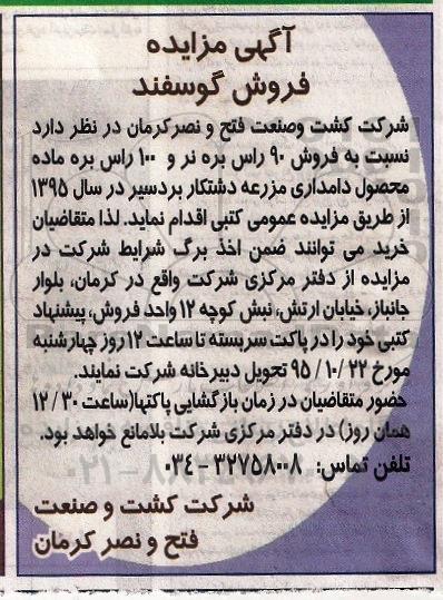 مزایده فروش گوسفند