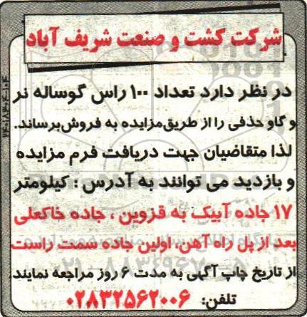 مزایده, مزایده تعداد 100 راس گوساله نر و گاو حذفی 