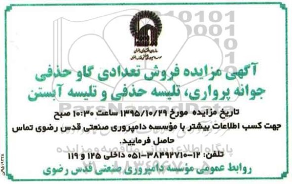 آگهی مزایده, مزایده فروش تعدادی گاو حذفی، جوانه پرواری ...