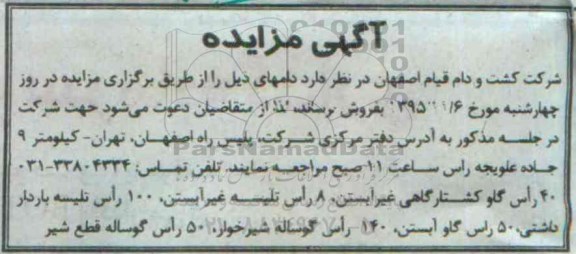 آگهی مزایده ، مزایده فروش  40 راس گاو کشتارگاهی غیر آبستن ...