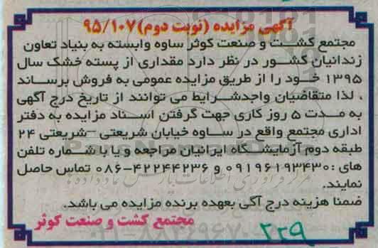 آگهی مزایده , مزایده فروش مقداری از پسته خشک سال 95  نوبت دوم 