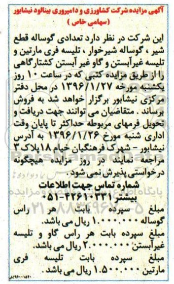 آگهی مزایده, مزایده فروش تعدادی گوساله قطع شیر ، گوساله شیرخوار و ...96.1.15