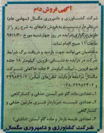 مزایده , مزایده فروش دام