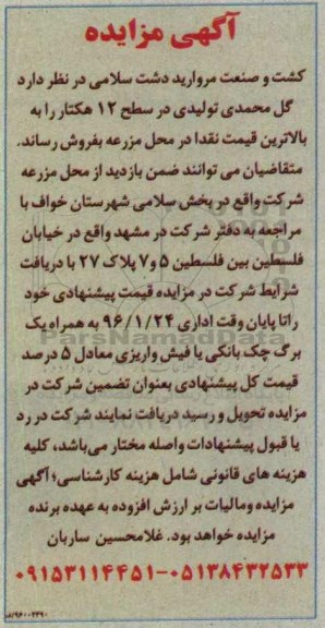 آگهی مزایده , مزایده فروش گل محمدی تولیدی در سطح 12 هکتار