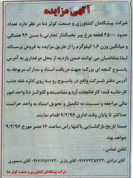آگهی مزایده,مزایده تعداد حدود 45000 قطعه مرغ پیر تخمگذاری