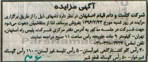 آگهی مزایده ، مزایده 30 راس گاو کشتارگاهی غیرآبستن ... 