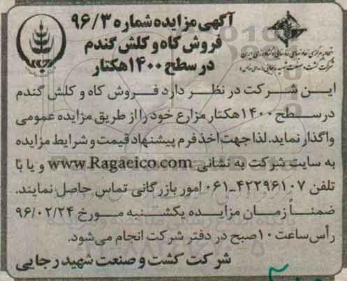 آگهی مزایده ,  مزایده فروش کاه و کلش گندم در سطح 1400 هکتار 