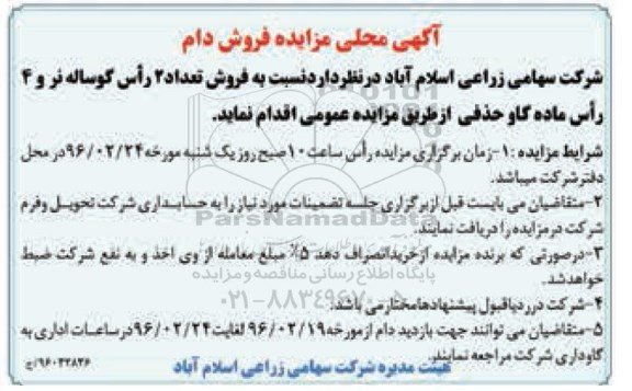 آگهی محلی مزایده , مزایده فروش تعداد 2 راس گوساله نر و ...