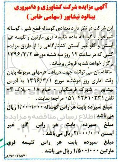 آگهی مزایده, مزایده فروش تعدادی گوساله قطع شیر ، گوساله شیرخوار