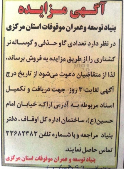 آگهی مزایده , مزایده فروش تعدادی گاو حذفی و گوساله نر کشتاری