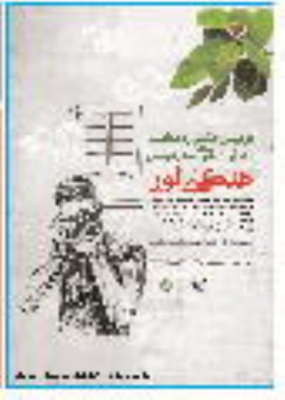 دومین جشنواره عکس منظر شهری بندرعباس 