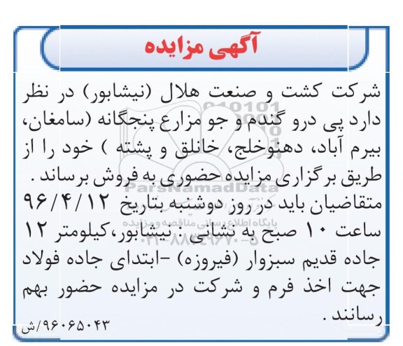 مزایده, مزایده پی درو گندم و جو مزارع پنجگانه 