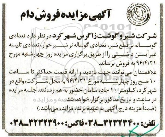 آگهی مزایده , مزایده فروش تعدادی گوساله نر قطع شیر 