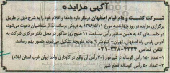 آگهی مزایده ، مزایده تعداد 150 راس گوساله نر شیرخوار ...