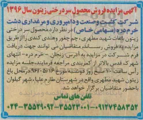آگهی مزایده, مزایده فروش محصول سردرختی زیتون باغات