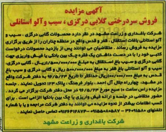مزایده فروش سردرختی گلابی درگزی ، سیب و آلو