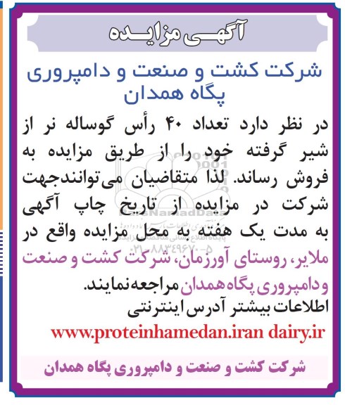 آگهی مزایده , مزایده تعداد 40 راس گوساله نر 96.5.11