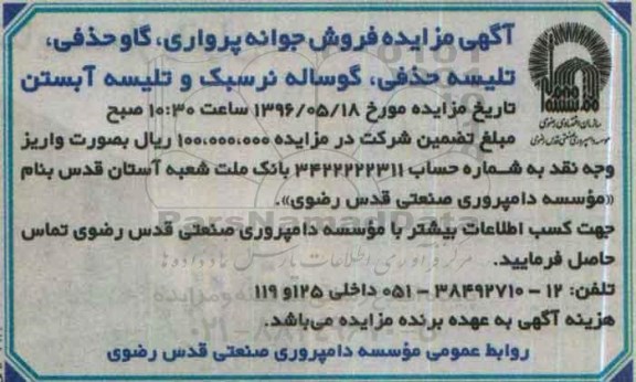 مزایده , مزایده فروش جوانه پرواری ....