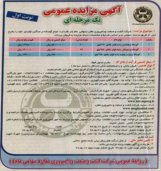 آگهی مزایده عمومی یک مرحله ای , مزایده فروش انواع گوساله نر سنگین