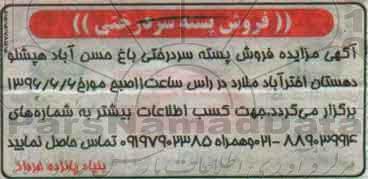 مزایده فروش پسته سردرختی