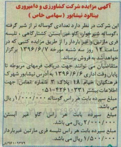 آگهی مزایده, مزایده فروش گوساله نر از شیر گرفته، گوساله شیرخوار , گاو غیر آبستن کشتارگاهی...