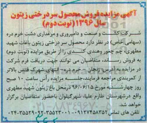 آگهی مزایده, مزایده فروش محصول سردرختی زیتون باغات - نوبت دوم 