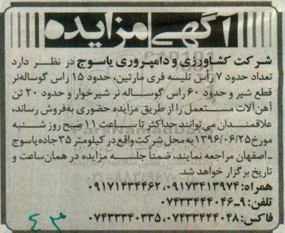 آگهی مزایده ، مزایده فروش تعداد حدود 7 راس تلیسه فری مارتین ...
