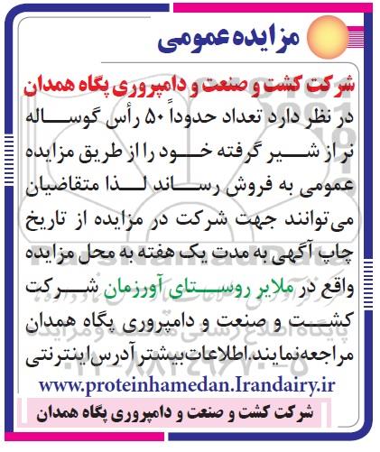 مزایده عمومی، مزایده حدودا 50 راس گوساله نر از شیر گرفته 