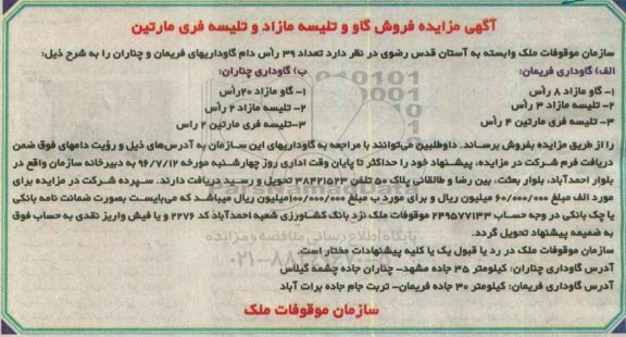 آگهی مزایده, مزایده فروش گاو و تلیسه مازاد و تلیسه فری مارتین