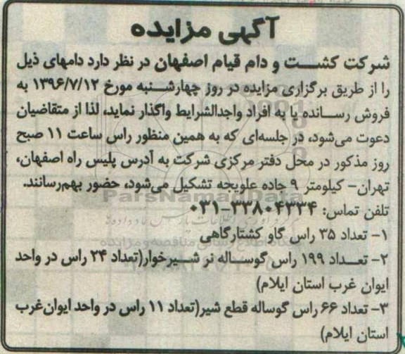 آگهی مزایده ، مزایده  35 راس گاو کشتارگاهی...