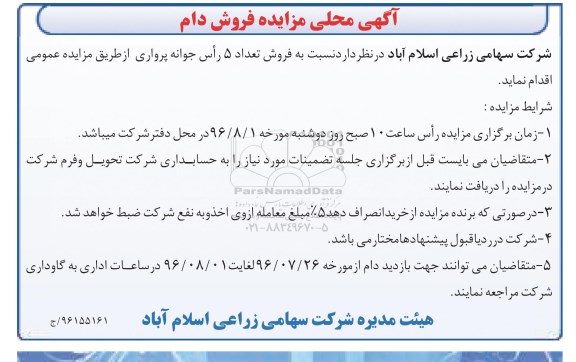 مزایده ,مزایده فروش تعداد ۵ راس جوانه پرواری