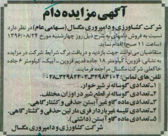 مزایده ، مزایده فروش تعدادی گوساله نر و ...
