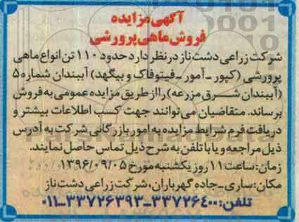 آگهی مزایده,مزایده فروش ماهی پرورشی
