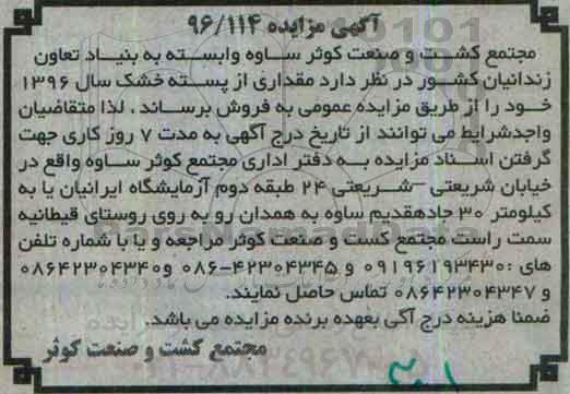 مزایده ،مزایده مقداری از پسته خشک