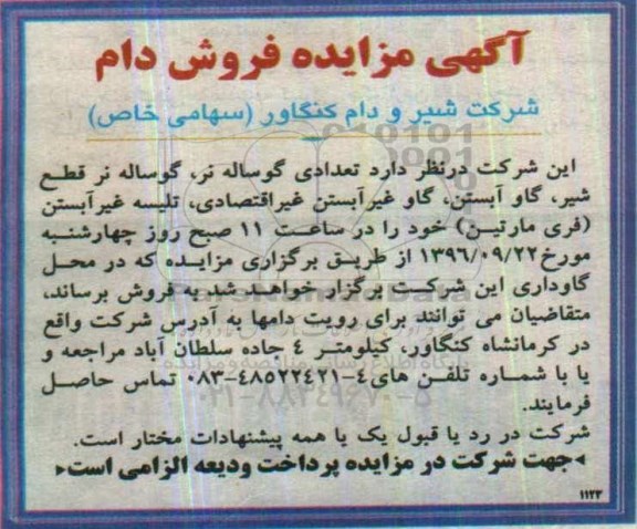 مزایده ,مزایده فروش تعدادی گوساله نر، گوساله نر قطع شیر