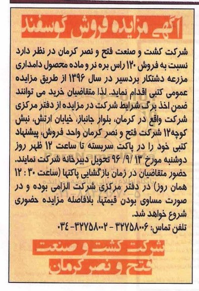 مزایده فروش گوسفند