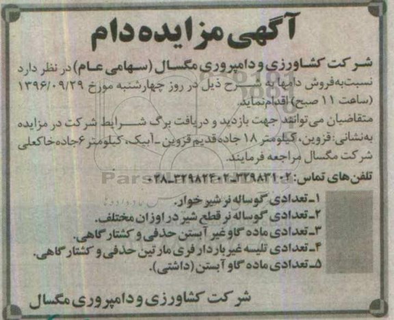 آگهی مزایده,مزایده تعدادی گوساله نر شیرخوار