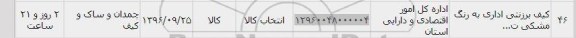 استعلام, استعلام کیف برزنتی اداری به رنگ